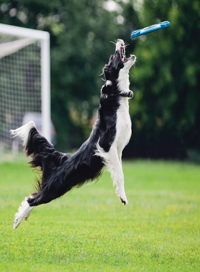 KittuPet Interactive Frisbee Tug - Natural Rubber Dog Toy, Non Toxic Flying Dish Pet Toy for Small & Medium Dog Breeds - Image 3